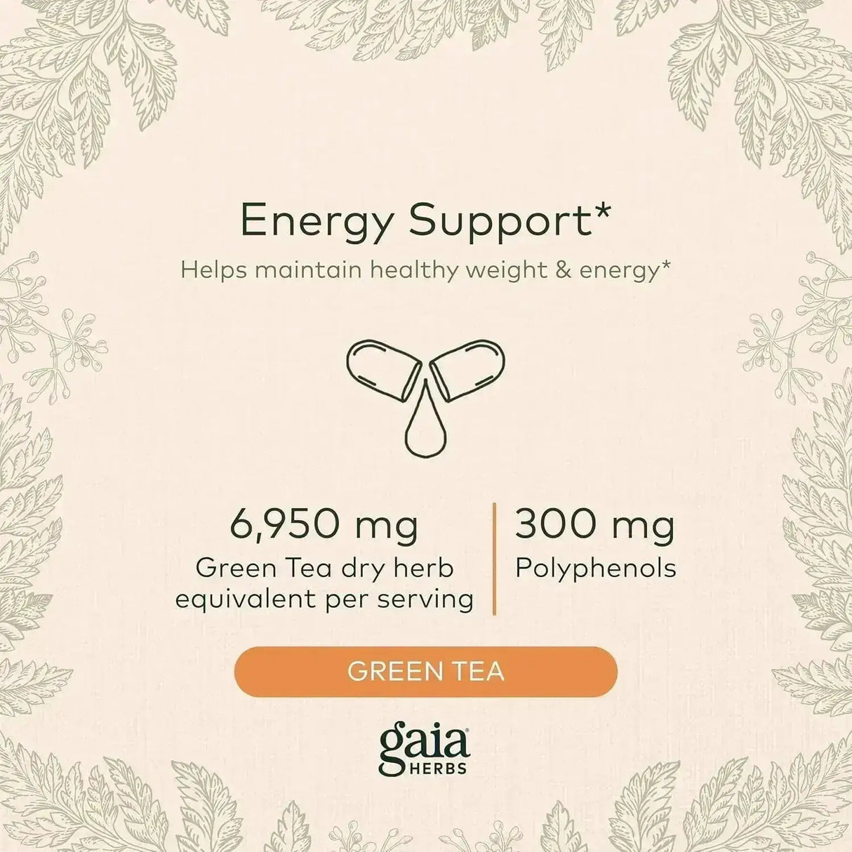 GAIA HERBS - Gaia Herbs Green Tea 60 Capsulas - The Red Vitamin MX - Suplementos Alimenticios - {{ shop.shopifyCountryName }}
