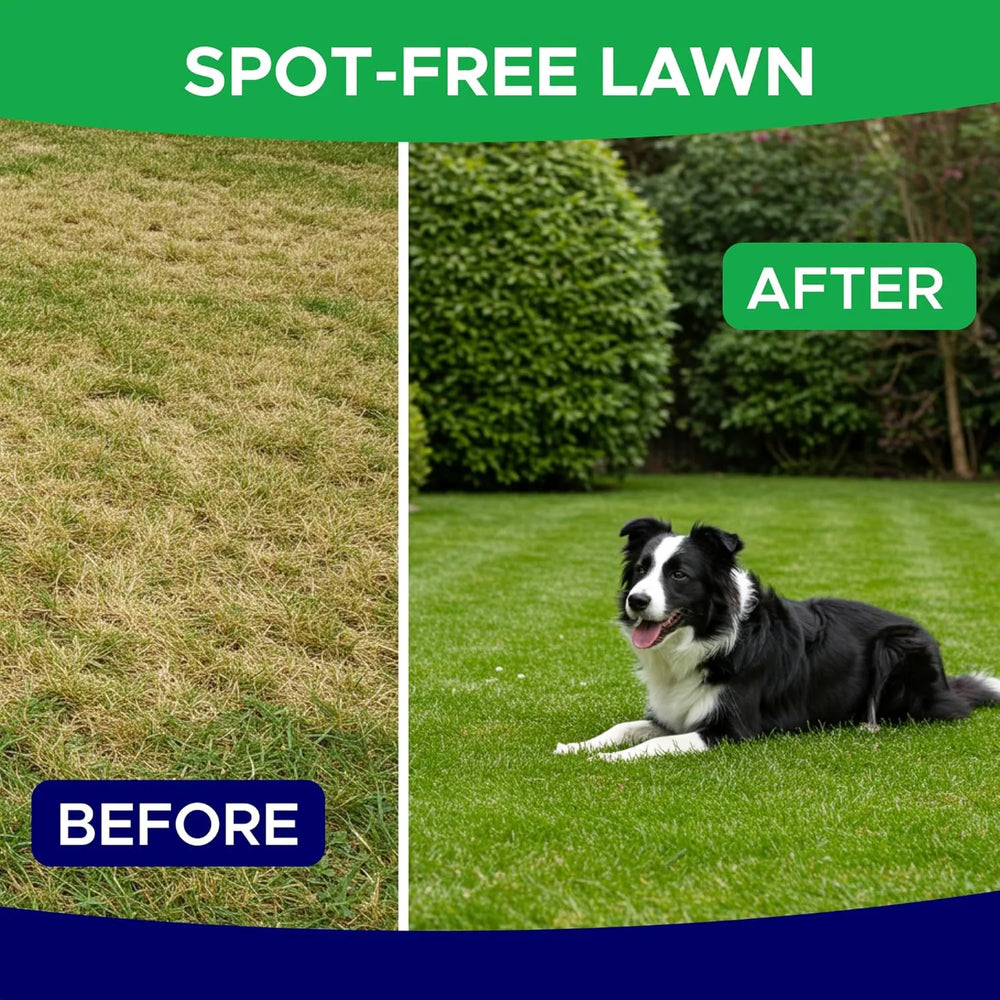 GOODGROWLIES - GOODGROWLIES Green Grass Dog Chews 120 Masticables - The Red Vitamin MX - Salud De Tracto Urinario Para Perros - {{ shop.shopifyCountryName }}