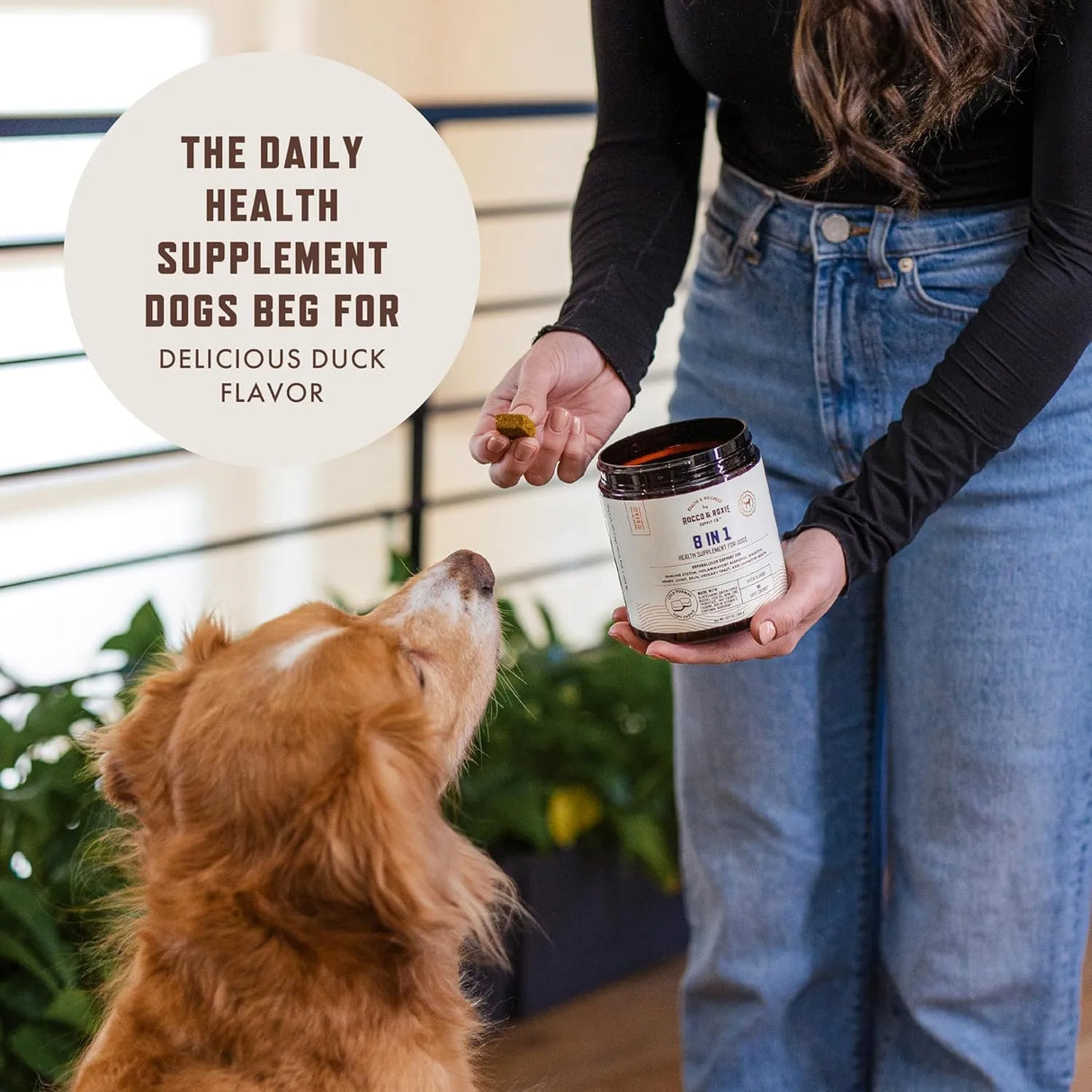 ROCCO & ROXIE - Rocco & Roxie 8 in 1 Dog Vitamins 90 Masticables - The Red Vitamin MX - Multivitamínicos Para Perros - {{ shop.shopifyCountryName }}