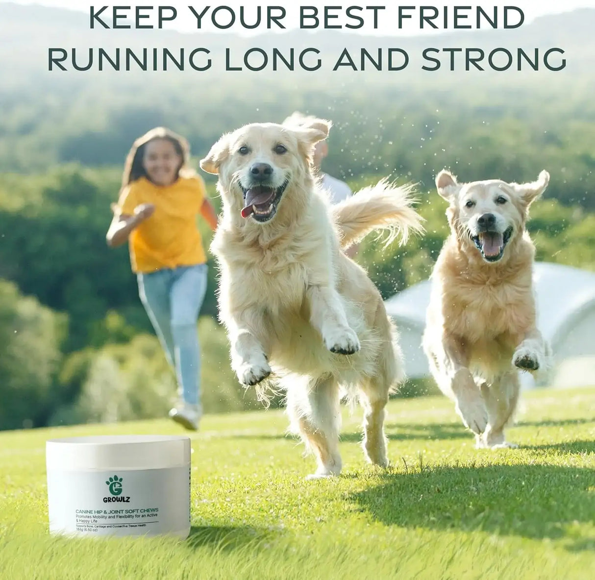 GROWIZ - Growlz Dog Hip and Joint Chew 90 Masticables - The Red Vitamin MX - Cuidado De Cadera Y Articulaciones Para Perros - {{ shop.shopifyCountryName }}