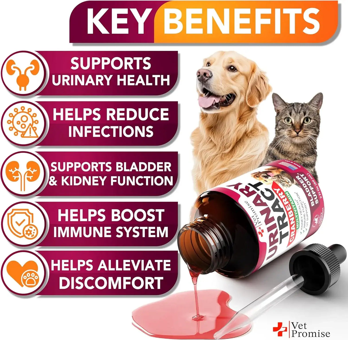VET PROMISE - Vet Promise Urinary Tract Infection Treatments with Cranberry 2 Fl.Oz. - The Red Vitamin MX - Salud De Tracto Urinario Para Perros - {{ shop.shopifyCountryName }}