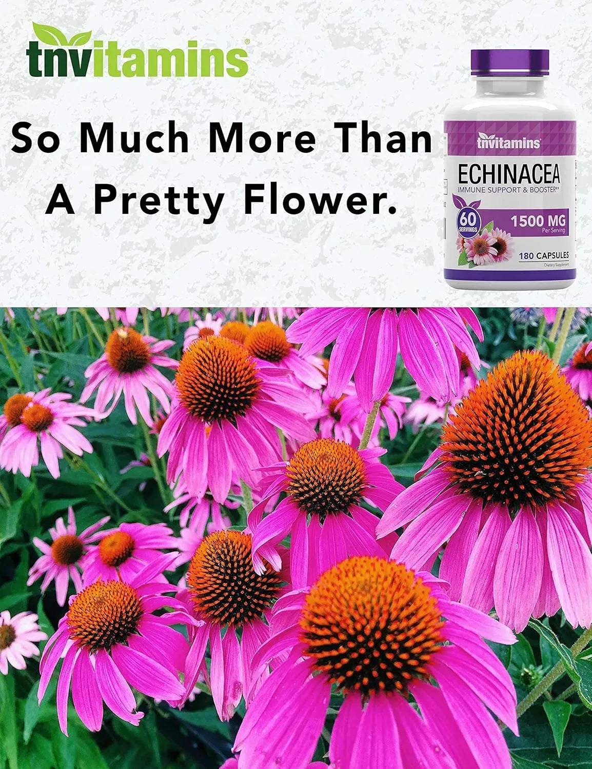 TNTVITAMINS - tnvitamins Echinacea 1500Mg. 180 Capsulas - The Red Vitamin MX - Suplementos Alimenticios - {{ shop.shopifyCountryName }}