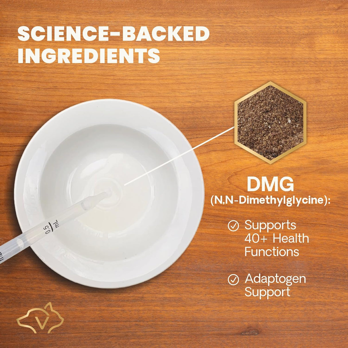 VETRISCIENCE DMG Immunity Health Easy-Dose Liquid 114Ml.