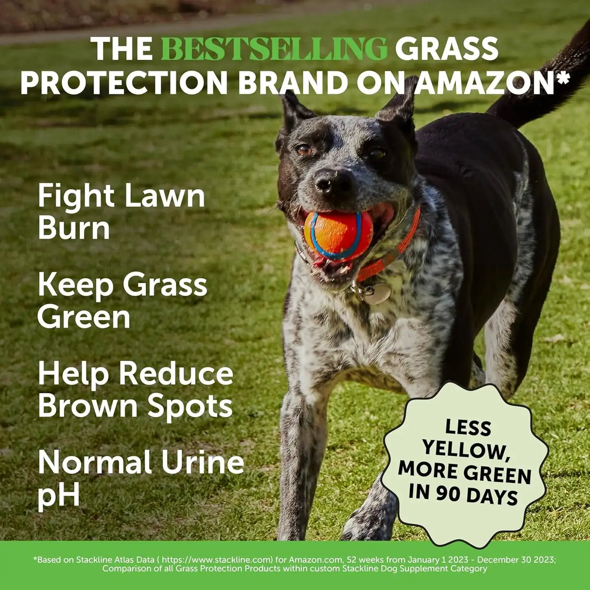 PET HONESTY - Pet Honesty Grass Green Dog Chews TURKEY 90 Masticables - The Red Vitamin MX - Salud De Tracto Urinario Para Perros - {{ shop.shopifyCountryName }}