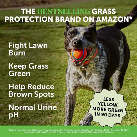 PET HONESTY - Pet Honesty Grass Green Dog Chews TURKEY 90 Masticables - The Red Vitamin MX - Salud De Tracto Urinario Para Perros - {{ shop.shopifyCountryName }}