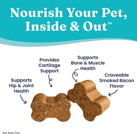 SOLID GOLD - Solid Gold Hip and Joint Supplement for Dogs 120 Masticables - The Red Vitamin MX - Cuidado De Cadera Y Articulaciones Para Perros - {{ shop.shopifyCountryName }}