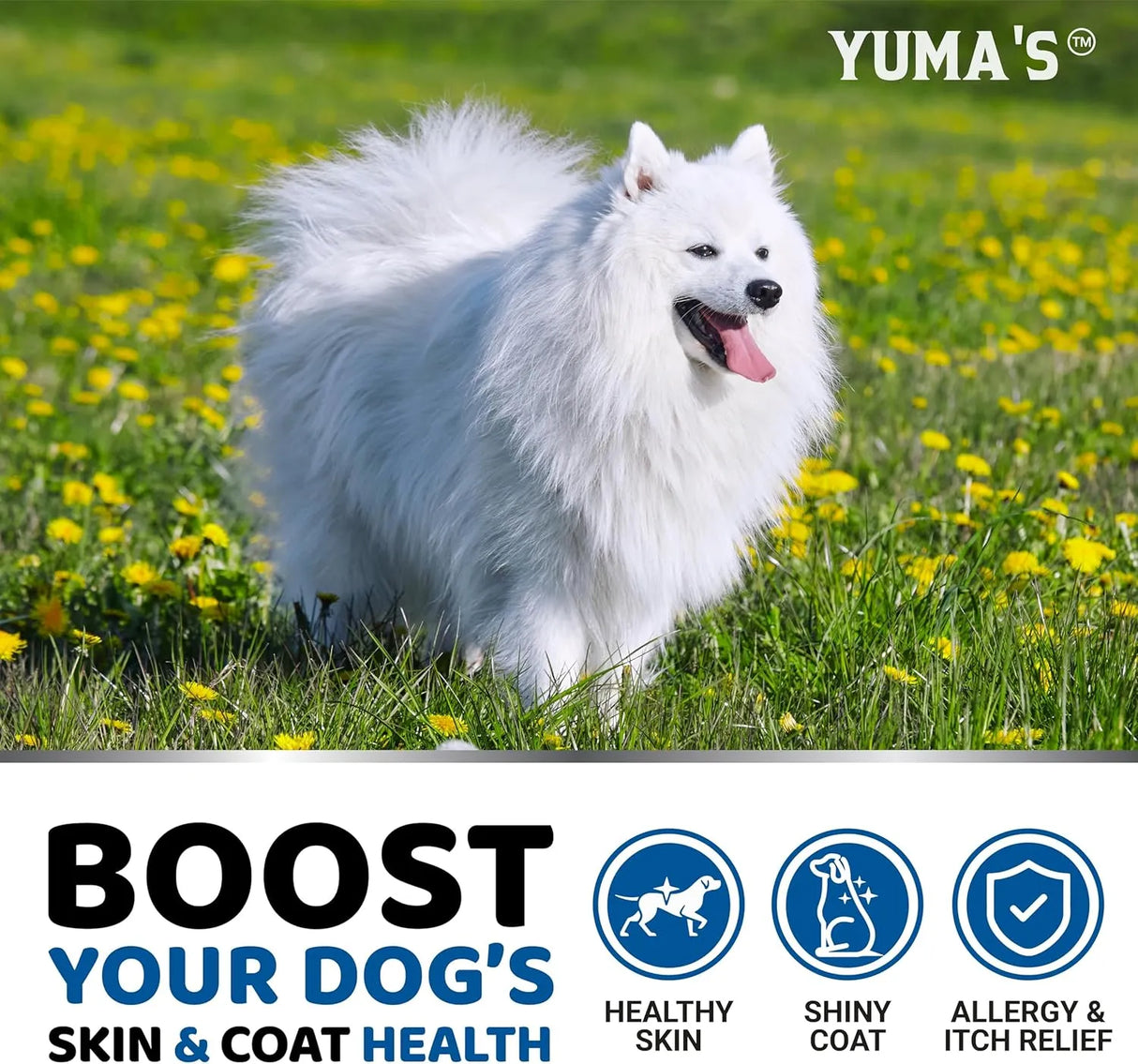 YUMA'S - YUMA'S Omega 3 Fish Oil for Dogs Chicken Flavor 170 Masticables - The Red Vitamin MX - Aceite De Pescado Para Perros - {{ shop.shopifyCountryName }}