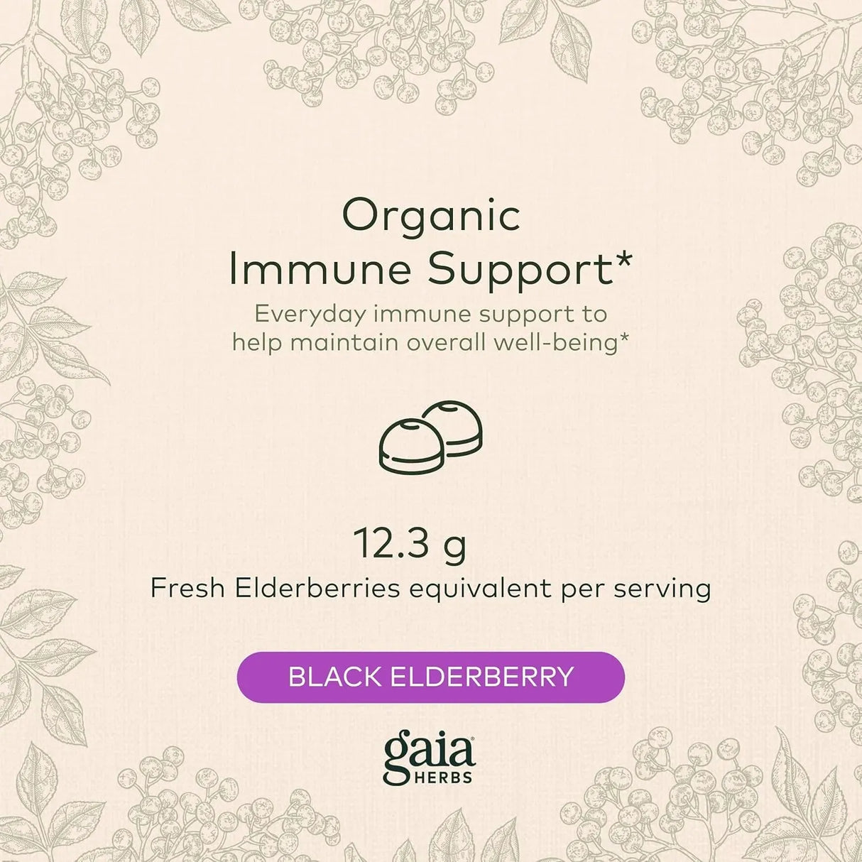 GAIA HERBS - Gaia Herbs Black Elderberry Sambucus Nigra Extra Strength Gummies 80 Gomitas - The Red Vitamin MX - Suplementos Alimenticios - {{ shop.shopifyCountryName }}
