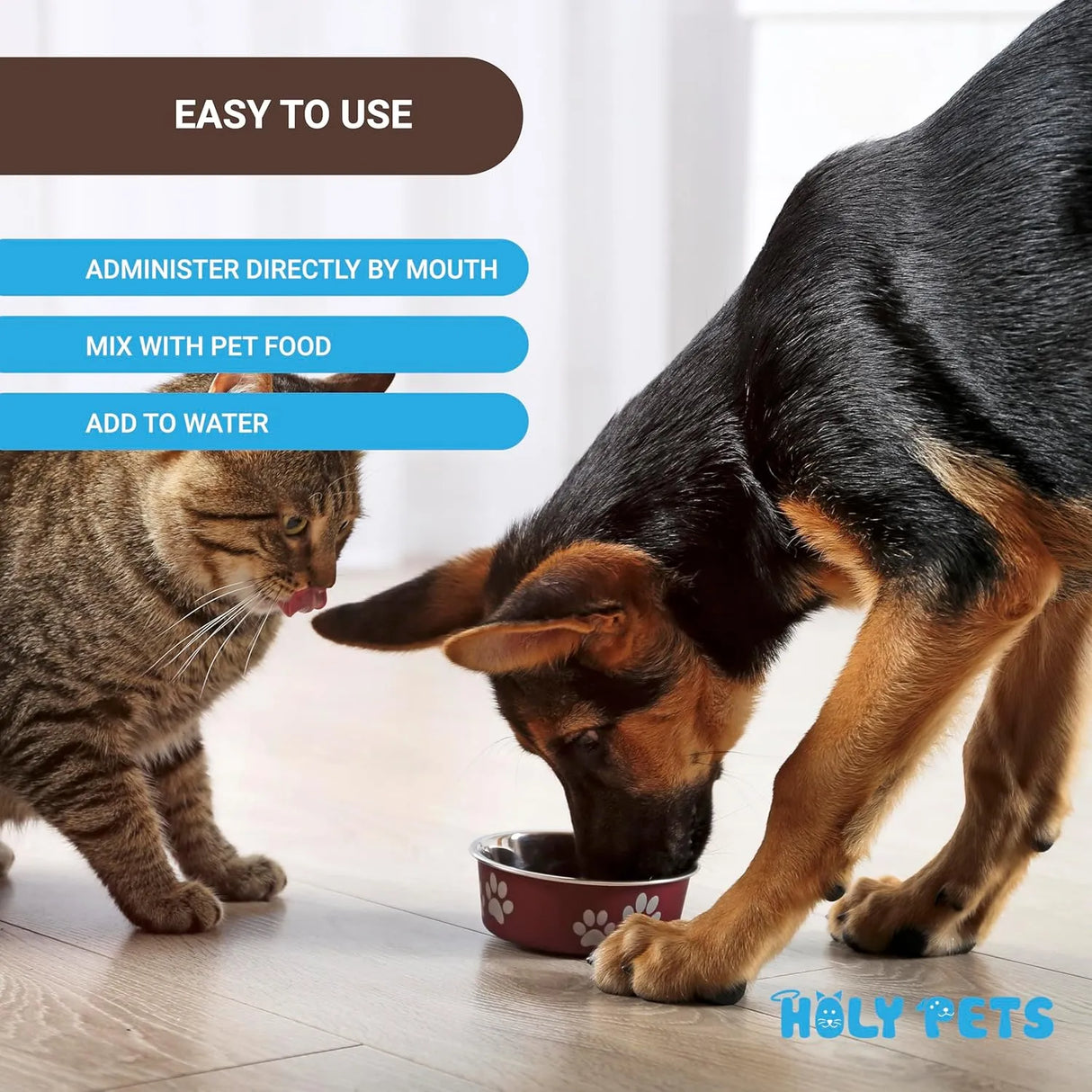 HOLY PETS - Holy Pets Natural UTI Medicine for Cats & Dogs 2 Fl.Oz. - The Red Vitamin MX - Salud De Tracto Urinario Para Perros - {{ shop.shopifyCountryName }}