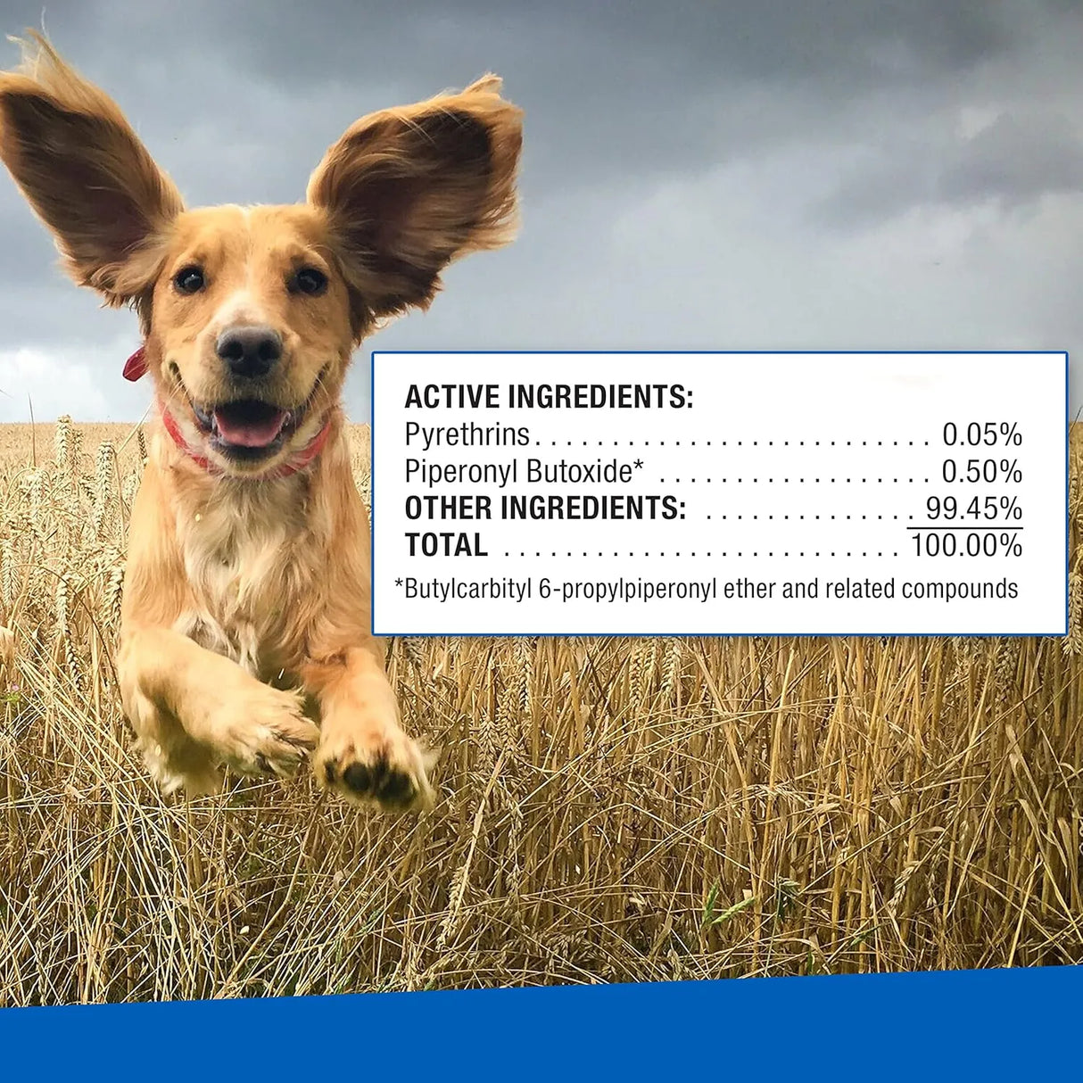 ADAMS - Adams Ear Mite Treatment For Dogs and Cats Over 12 Weeks .5 Fl.Oz. - The Red Vitamin MX - Cuidado Del Oído De Perros - {{ shop.shopifyCountryName }}