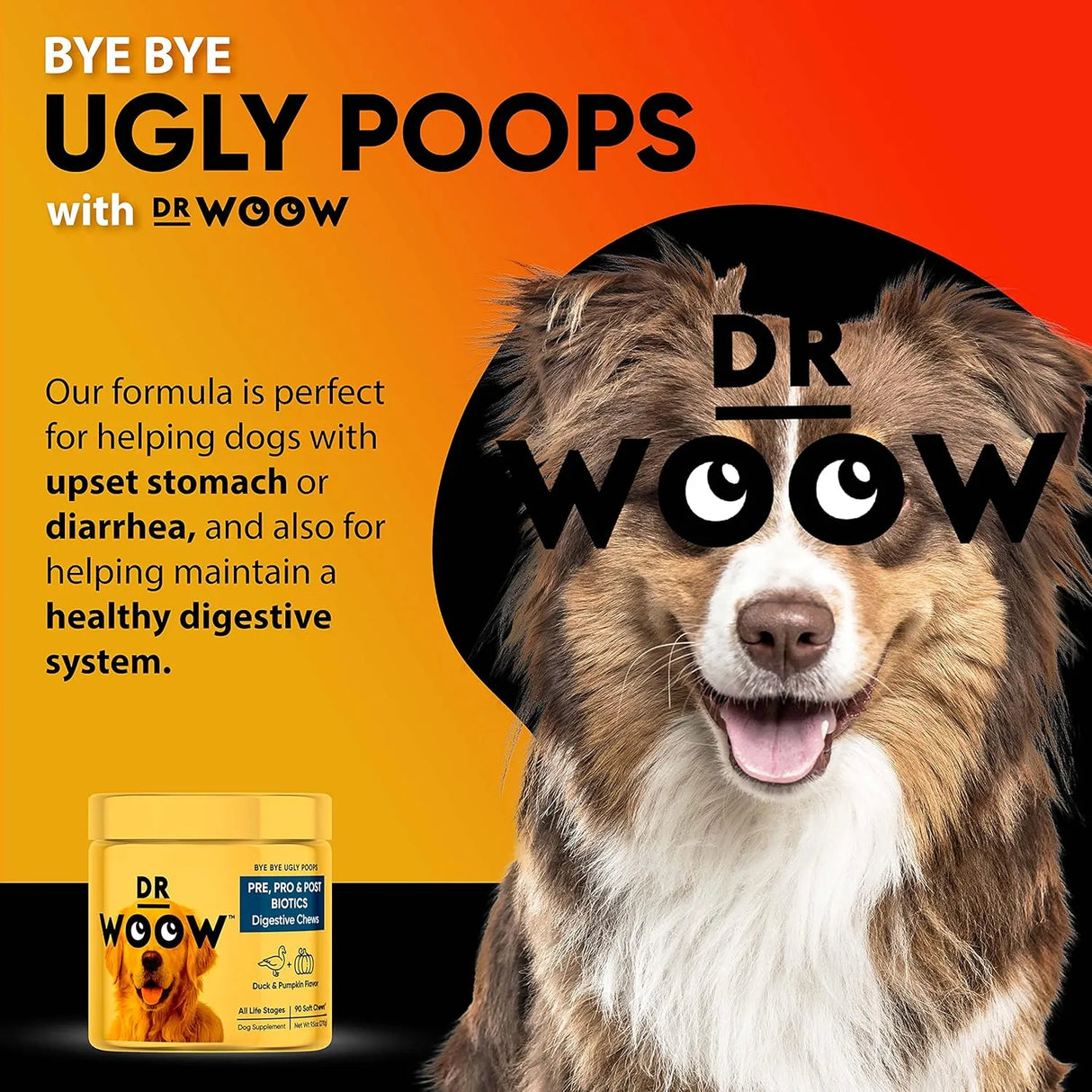 DR WOOW - DR WOOW Probiotics for Dogs 90 Masticables - The Red Vitamin MX - Probióticos Para Perros - {{ shop.shopifyCountryName }}