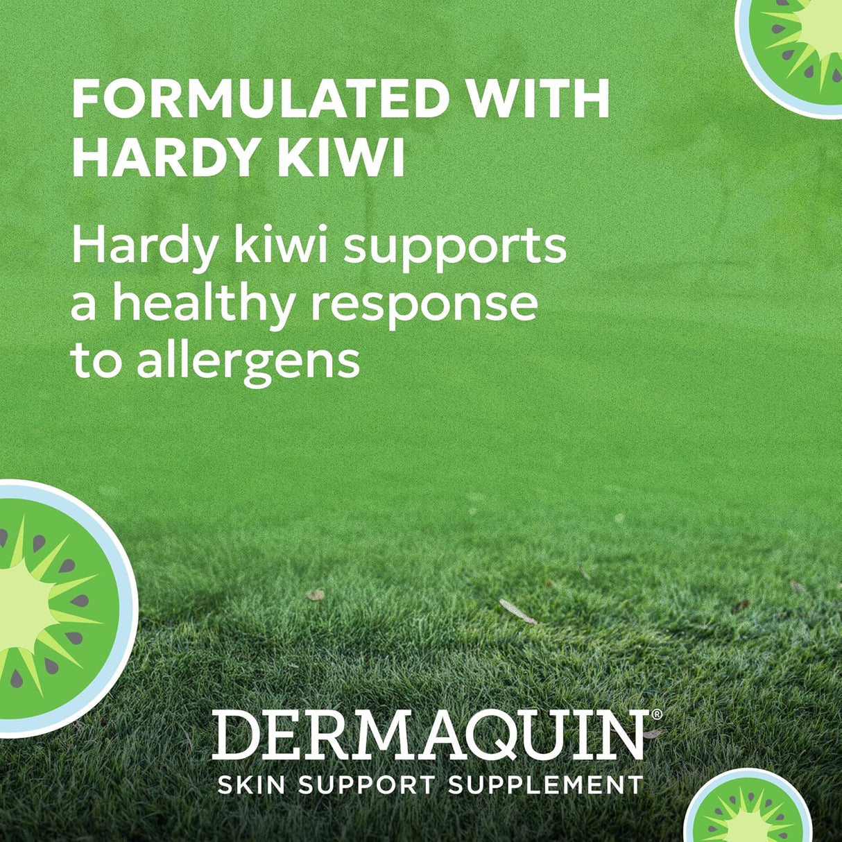 Nutramax Dermaquin Skin Support Supplement for Small to Medium Dogs and Cats 60 Masticables