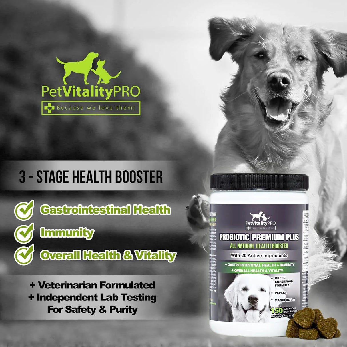 PETVITALITYPRO - PetVitalityPRO Probiotics for Dogs with Natural Digestive Enzymes 150 Masticables - The Red Vitamin MX - Probióticos Para Perros - {{ shop.shopifyCountryName }}