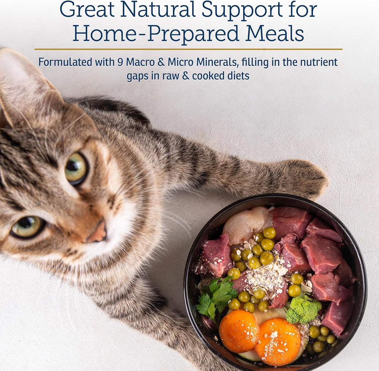 Rx Vitamins Feline Minerals 227Gr.