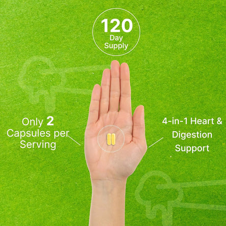 DEAL SUPPLEMENT - Deal Supplement Nattokinase 4,000 FU 240 Capsulas - The Red Vitamin MX - Suplementos Alimenticios - {{ shop.shopifyCountryName }}