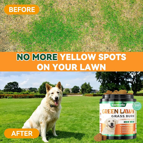 CARMELIE - Carmelie Grass Burn Spot Chews 200 Masticables - The Red Vitamin MX - Salud De Tracto Urinario Para Perros - {{ shop.shopifyCountryName }}