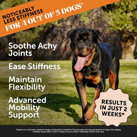 PET HONESTY - Pet Honesty Hip & Joint Health Max Strength Bacon Flavor 90 Masticables - The Red Vitamin MX - Cuidado De Cadera Y Articulaciones Para Perros - {{ shop.shopifyCountryName }}