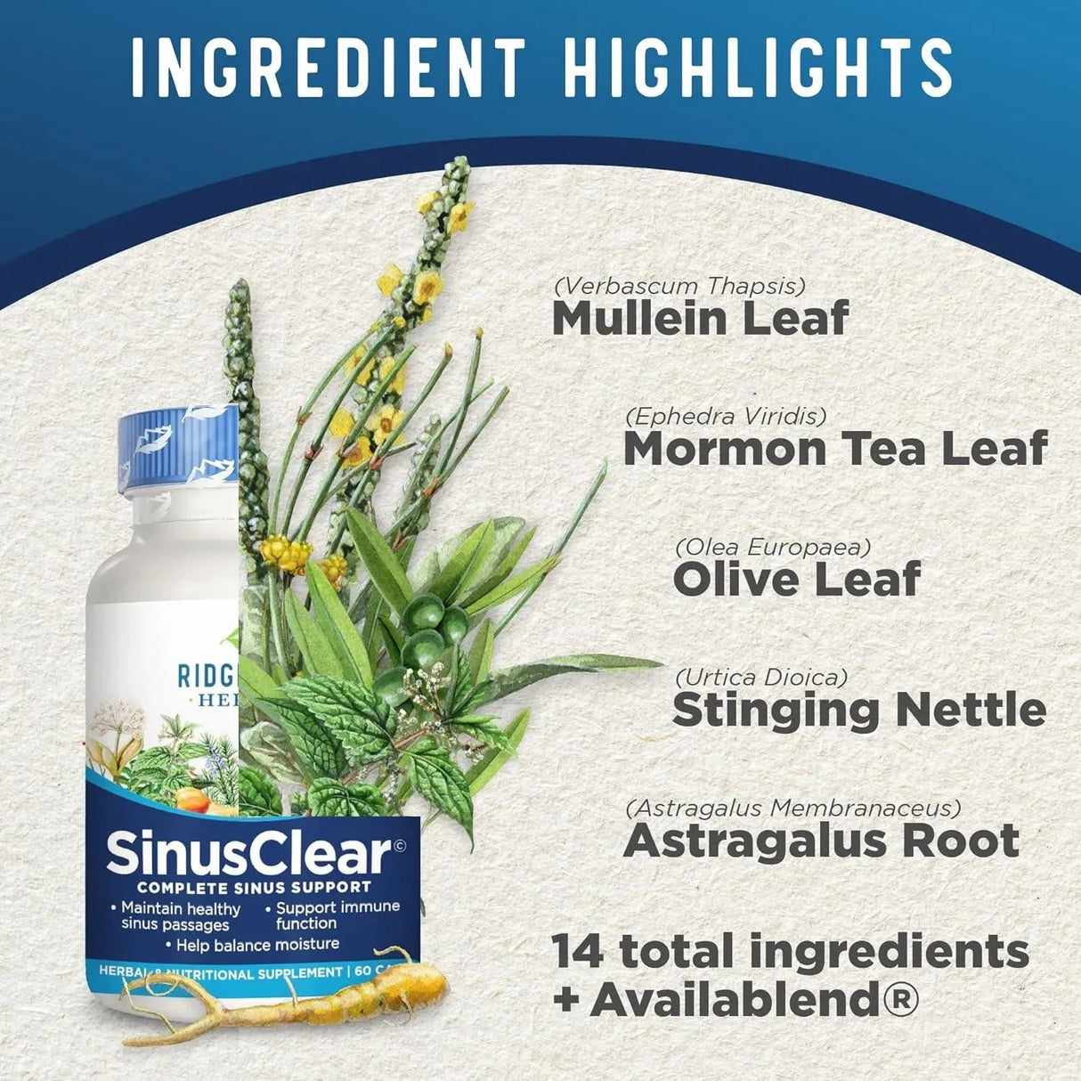 RIDGECREST HERBALS - RidgeCrest Herbals SinusClear 60 Capsulas - The Red Vitamin MX - Suplementos Alimenticios - {{ shop.shopifyCountryName }}