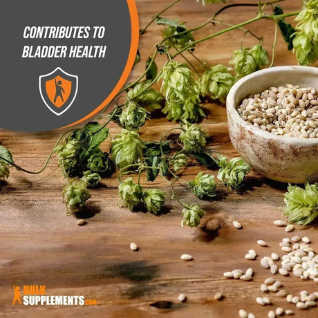 BULK SUPPLEMENTS - Bulk Supplements Hops Extract Powder 500Gr. - The Red Vitamin MX - Suplementos Alimenticios - {{ shop.shopifyCountryName }}