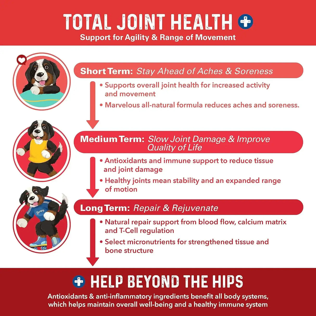 BERNIE'S - Bernie's Marvelous Mobility Daily Total Joint Support for Dogs 90 Masticables - The Red Vitamin MX - Cuidado De Cadera Y Articulaciones Para Perros - {{ shop.shopifyCountryName }}