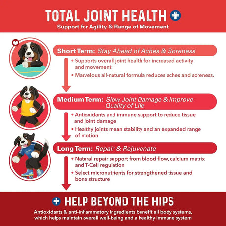 BERNIE'S - Bernie's Marvelous Mobility Daily Total Joint Support for Dogs 90 Masticables - The Red Vitamin MX - Cuidado De Cadera Y Articulaciones Para Perros - {{ shop.shopifyCountryName }}