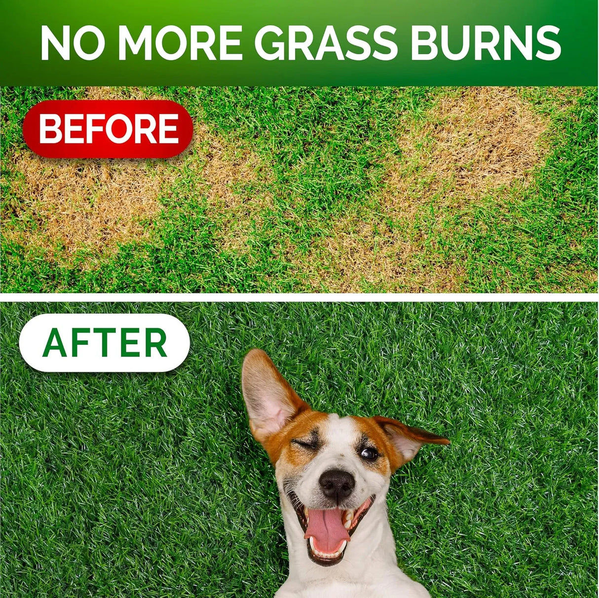 VET PROMISE - Vet Promise Grass Burn Spot Chews 120 Masticables - The Red Vitamin MX - Salud De Tracto Urinario Para Perros - {{ shop.shopifyCountryName }}