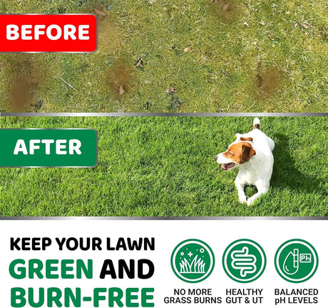 YUMA'S - YUMA'S Dog Urine Neutralizer for Lawn Chicken 170 Masticables - The Red Vitamin MX - Salud De Tracto Urinario Para Perros - {{ shop.shopifyCountryName }}