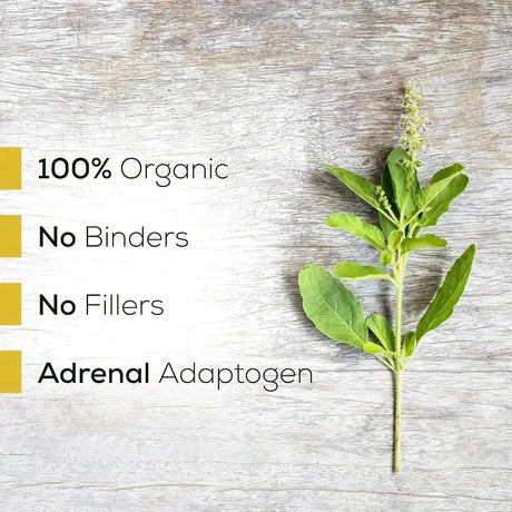 SUPREME NUTRITION - Supreme Nutrition Tulsi Supreme 90 Capsulas - The Red Vitamin MX - Suplementos Alimenticios - {{ shop.shopifyCountryName }}