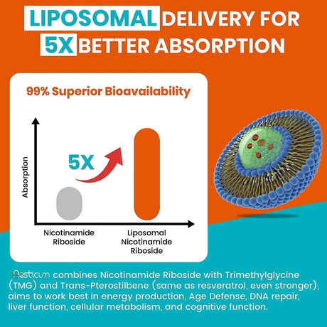 AESTICUM - Aesticum Liposomal Nicotinamide Riboside 2000Mg. 60 Capsulas Blandas 2 Pack - The Red Vitamin MX - Suplementos Alimenticios - {{ shop.shopifyCountryName }}