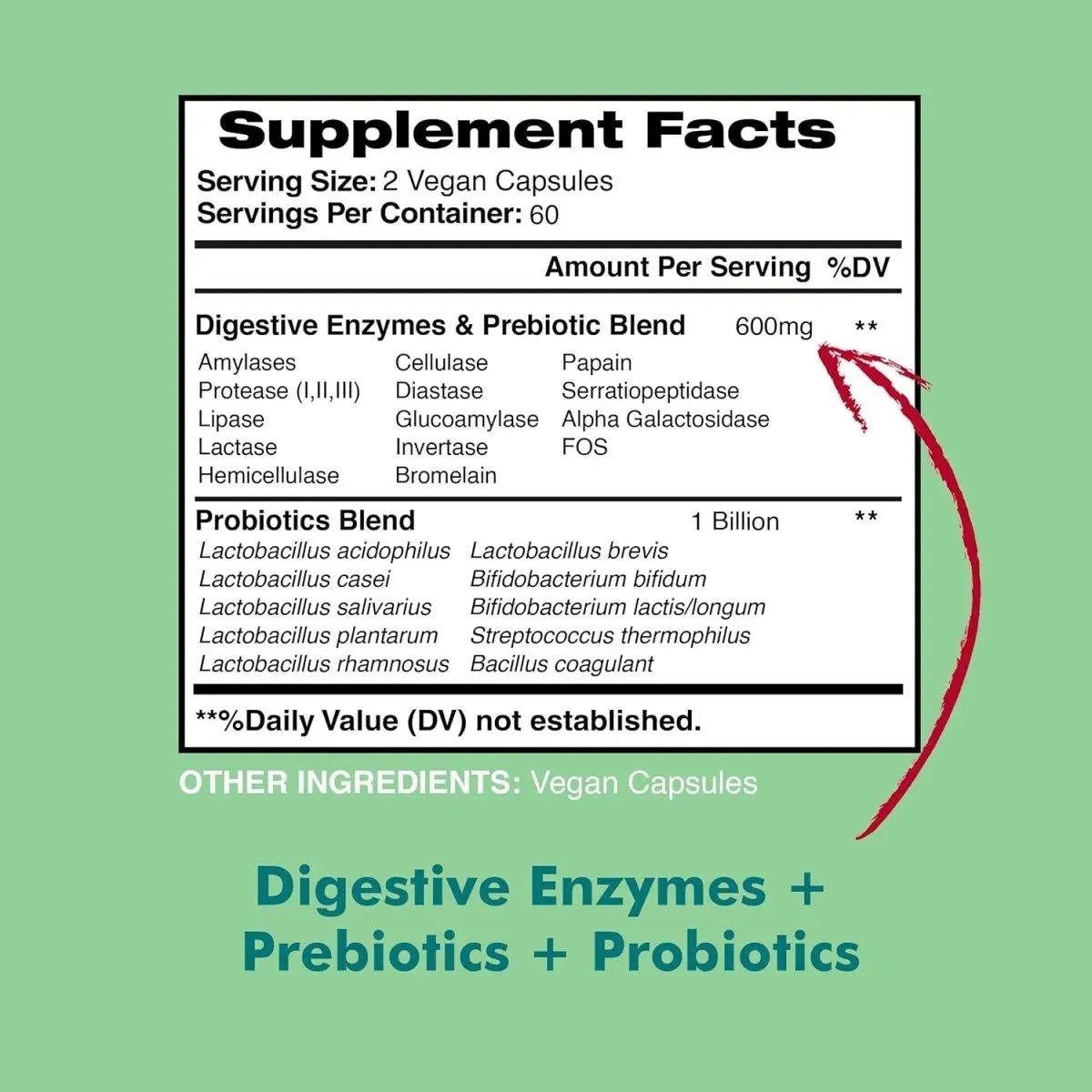 AMERICAN STANDARD SUPPLEMENTS - American Standard Supplements Digestive Enzymes 120 Capsulas - The Red Vitamin MX - Suplementos Alimenticios - {{ shop.shopifyCountryName }}