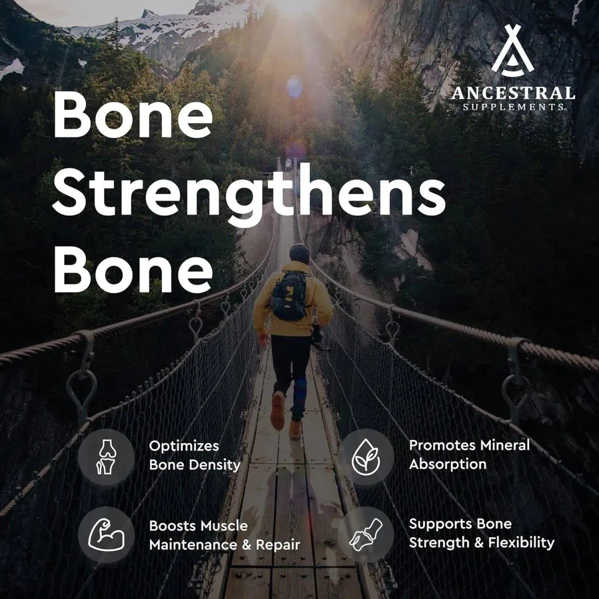 ANCESTRAL SUPPLEMENTS - Ancestral Supplements Grass Fed Beef Living Bone 180 Capsulas - The Red Vitamin MX - Suplementos Alimenticios - {{ shop.shopifyCountryName }}