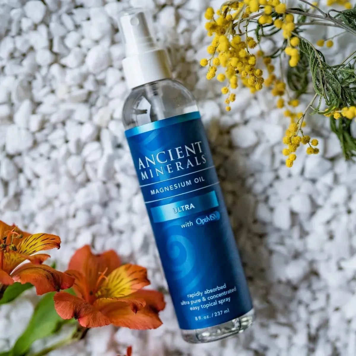 ANCIENT MINERALS - Ancient Minerals Magnesium Oil Spray Ultra with MSM 237Ml. - The Red Vitamin MX - Suplementos Alimenticios - {{ shop.shopifyCountryName }}