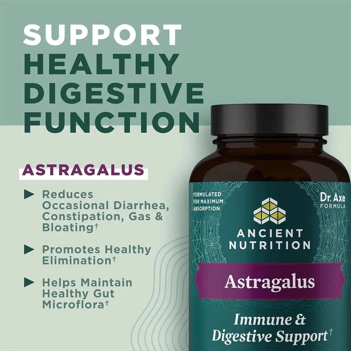 ANCIENT NUTRITION - Ancient Nutrition Astragalus 60 Capsulas - The Red Vitamin MX - Suplementos Alimenticios - {{ shop.shopifyCountryName }}