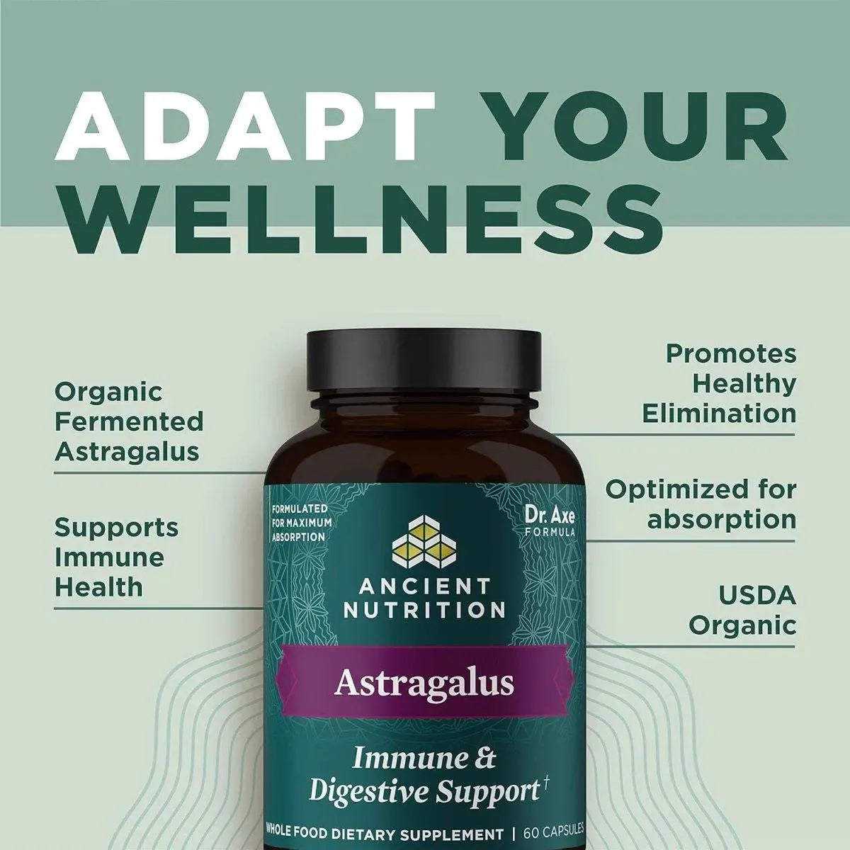 ANCIENT NUTRITION - Ancient Nutrition Astragalus 60 Capsulas - The Red Vitamin MX - Suplementos Alimenticios - {{ shop.shopifyCountryName }}