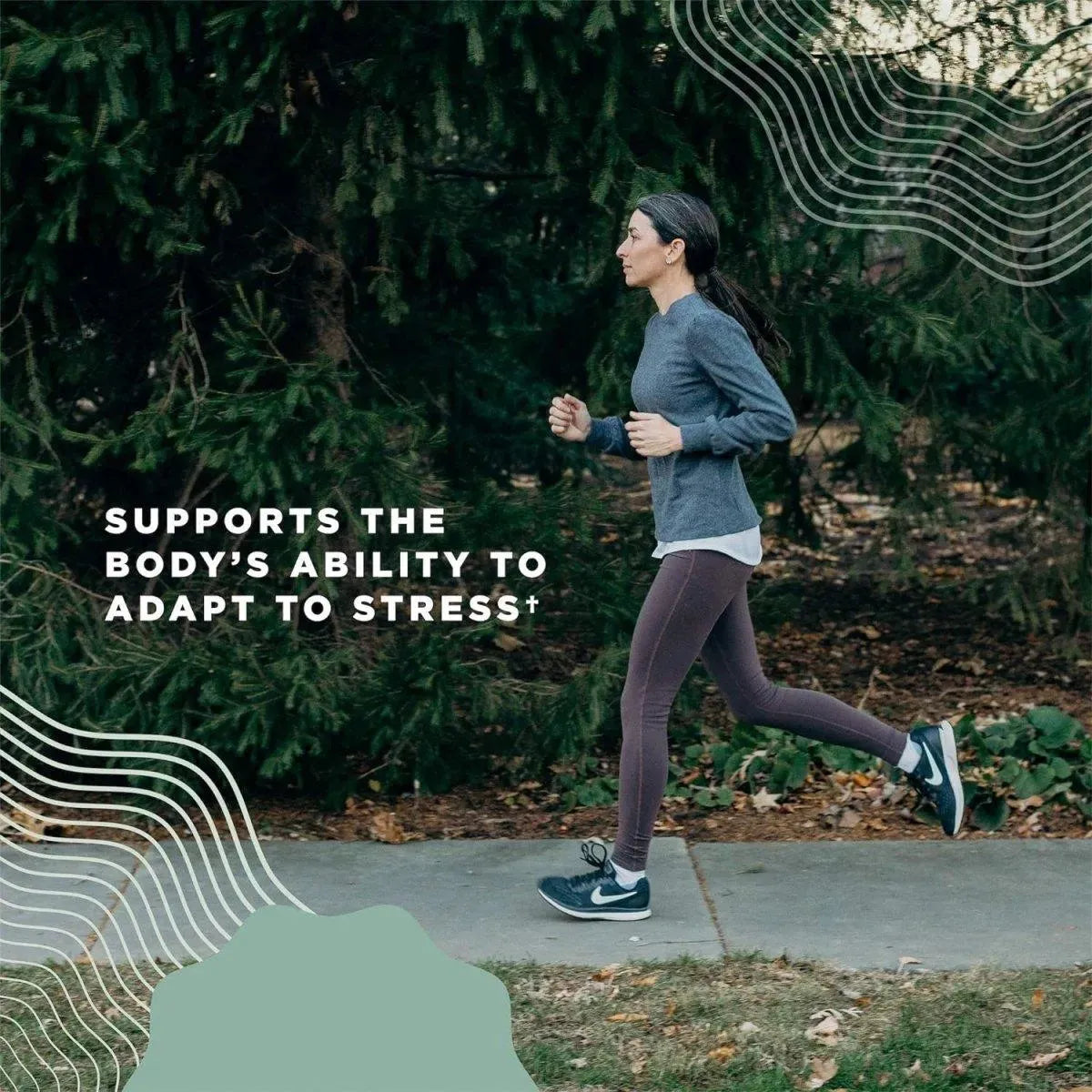 ANCIENT NUTRITION - Ancient Nutrition Multi Mushroom 30 Tabletas - The Red Vitamin MX - Suplementos Alimenticios - {{ shop.shopifyCountryName }}