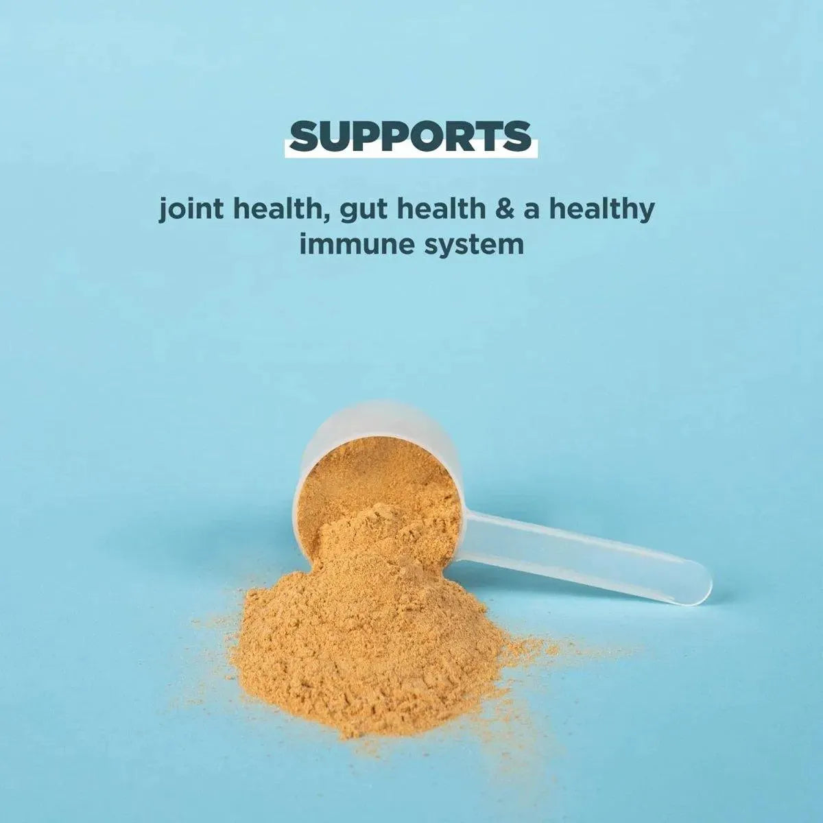 ANCIENT NUTRITION - Ancient Nutrition Protein Powder Made from Real Bone Broth Chocolate 2.2Lb. - The Red Vitamin MX - Suplementos Alimenticios - {{ shop.shopifyCountryName }}