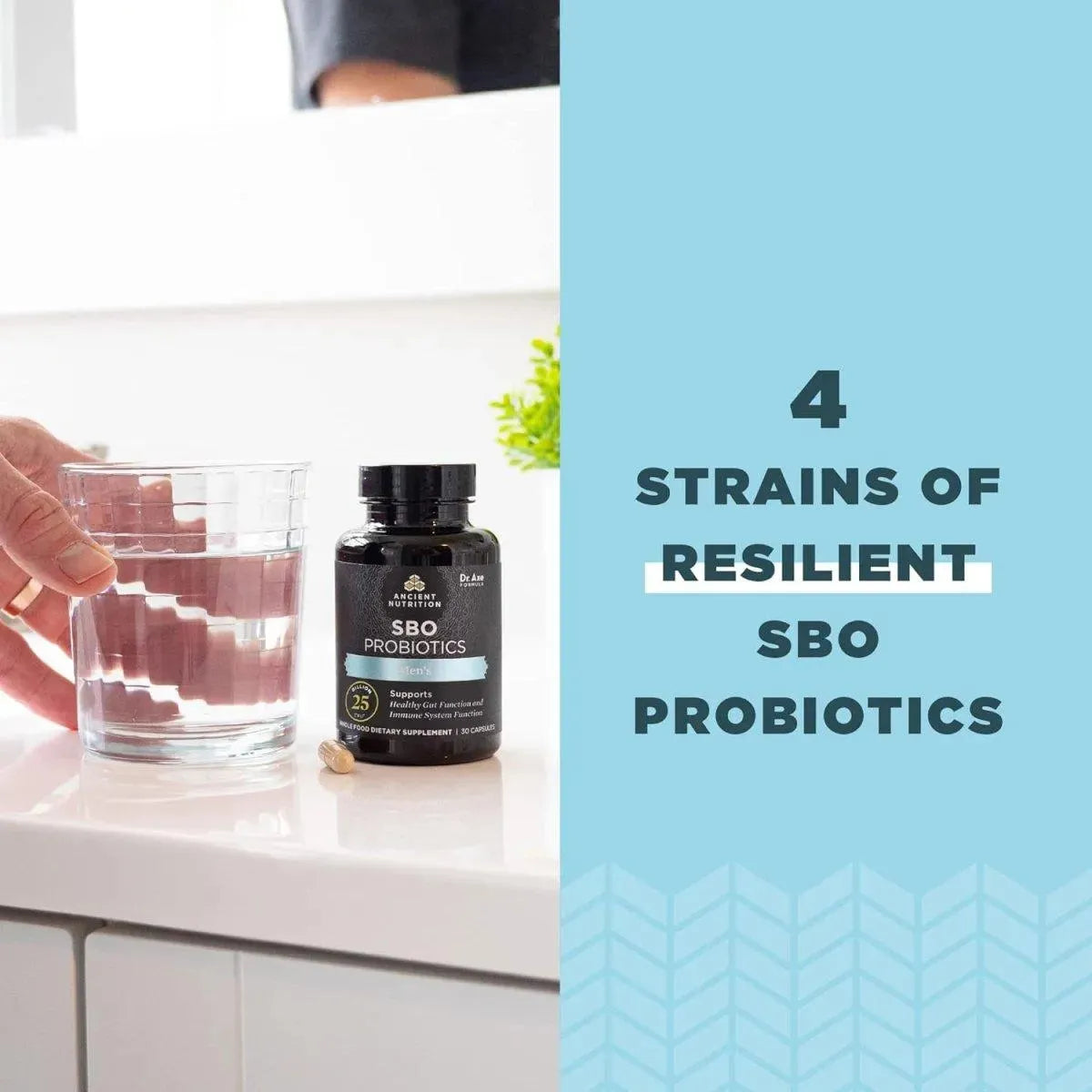 ANCIENT NUTRITION - Ancient Nutrition SBO Probiotics Men's 60 Capsulas - The Red Vitamin MX - Suplementos Alimenticios - {{ shop.shopifyCountryName }}