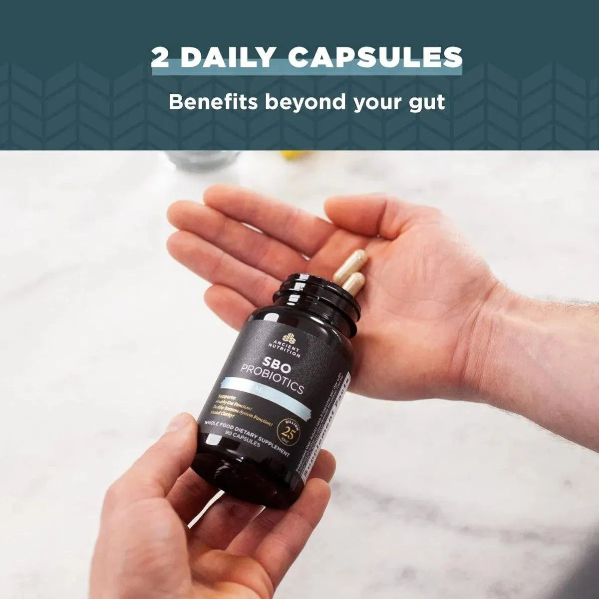 ANCIENT NUTRITION - Ancient Nutrition SBO Probiotics Men's 60 Capsulas - The Red Vitamin MX - Suplementos Alimenticios - {{ shop.shopifyCountryName }}