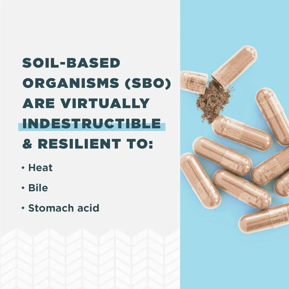 ANCIENT NUTRITION - Ancient Nutrition SBO Probiotics Men's 60 Capsulas - The Red Vitamin MX - Suplementos Alimenticios - {{ shop.shopifyCountryName }}