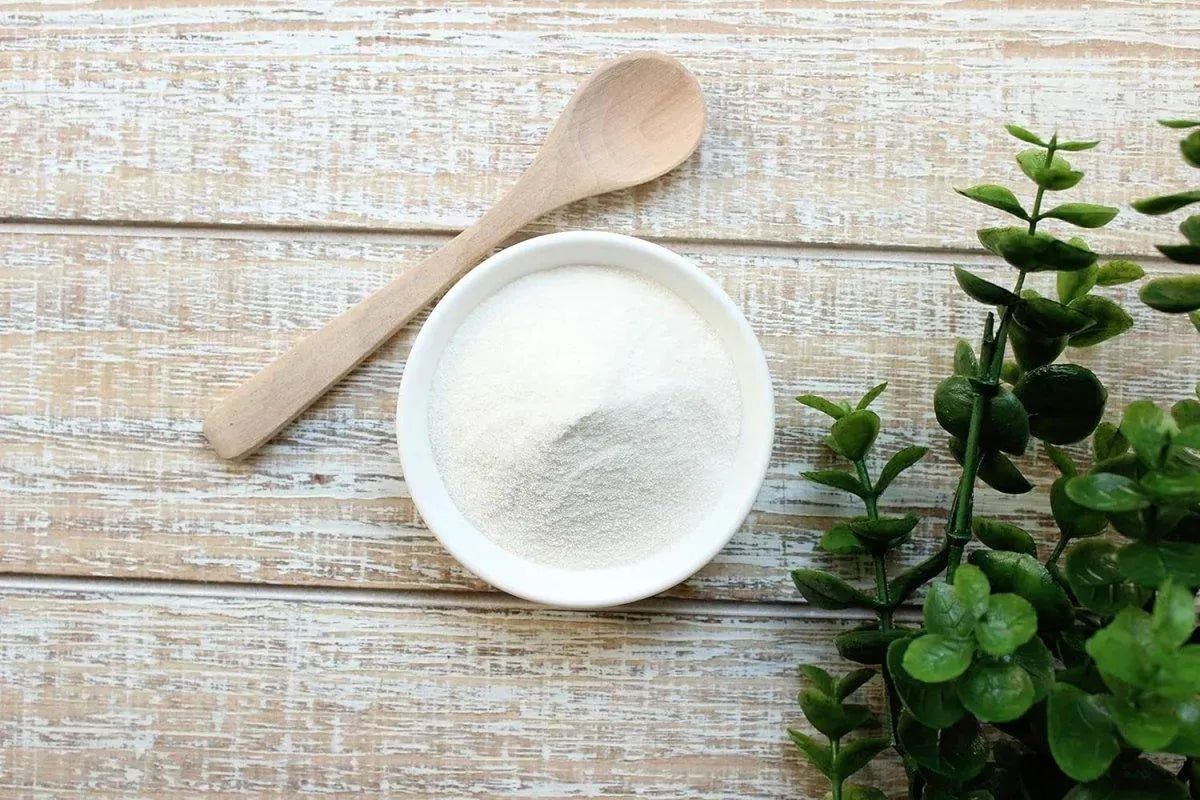 ANTHONY´S - Anthony's Organic Acacia Senegal Powder 454Gr. - The Red Vitamin MX - Suplementos Alimenticios - {{ shop.shopifyCountryName }}