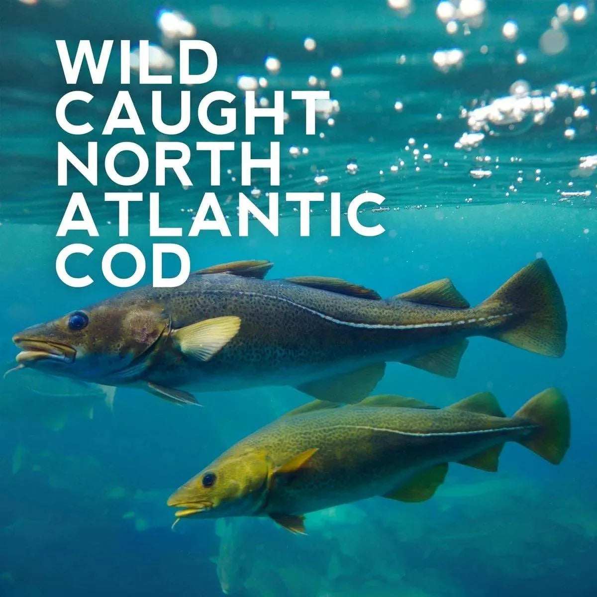 ASPEN NATURALS - Aspen Naturals Marine Collagen Peptides Powder 340Gr. - The Red Vitamin MX - Suplementos Alimenticios - {{ shop.shopifyCountryName }}