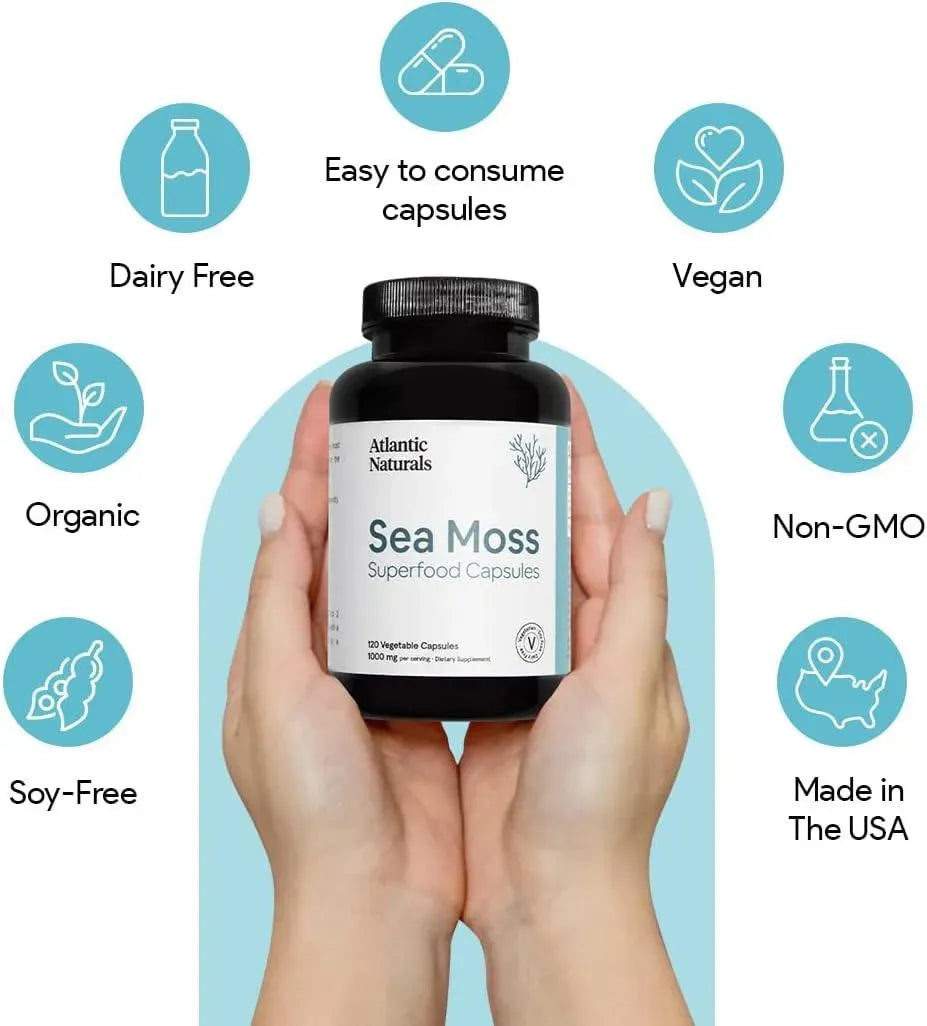 ATLANTIC NATURALS - Atlantic Naturals Organic Sea Moss 120 Capsulas - The Red Vitamin MX - Suplementos Alimenticios - {{ shop.shopifyCountryName }}
