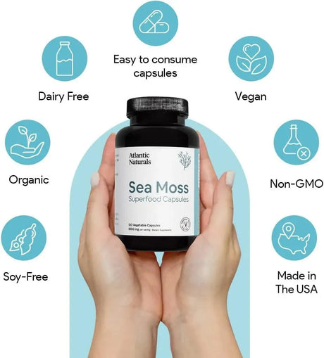 ATLANTIC NATURALS - Atlantic Naturals Organic Sea Moss 120 Capsulas - The Red Vitamin MX - Suplementos Alimenticios - {{ shop.shopifyCountryName }}