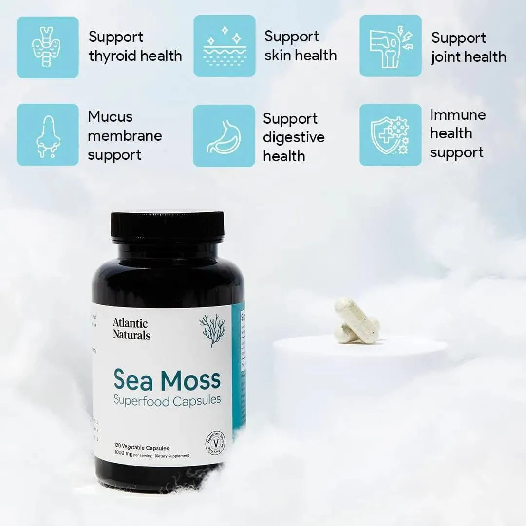 ATLANTIC NATURALS - Atlantic Naturals Organic Sea Moss 120 Capsulas - The Red Vitamin MX - Suplementos Alimenticios - {{ shop.shopifyCountryName }}