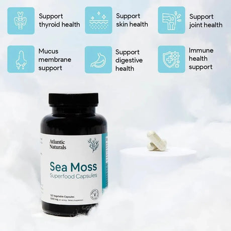 ATLANTIC NATURALS - Atlantic Naturals Organic Sea Moss 120 Capsulas - The Red Vitamin MX - Suplementos Alimenticios - {{ shop.shopifyCountryName }}