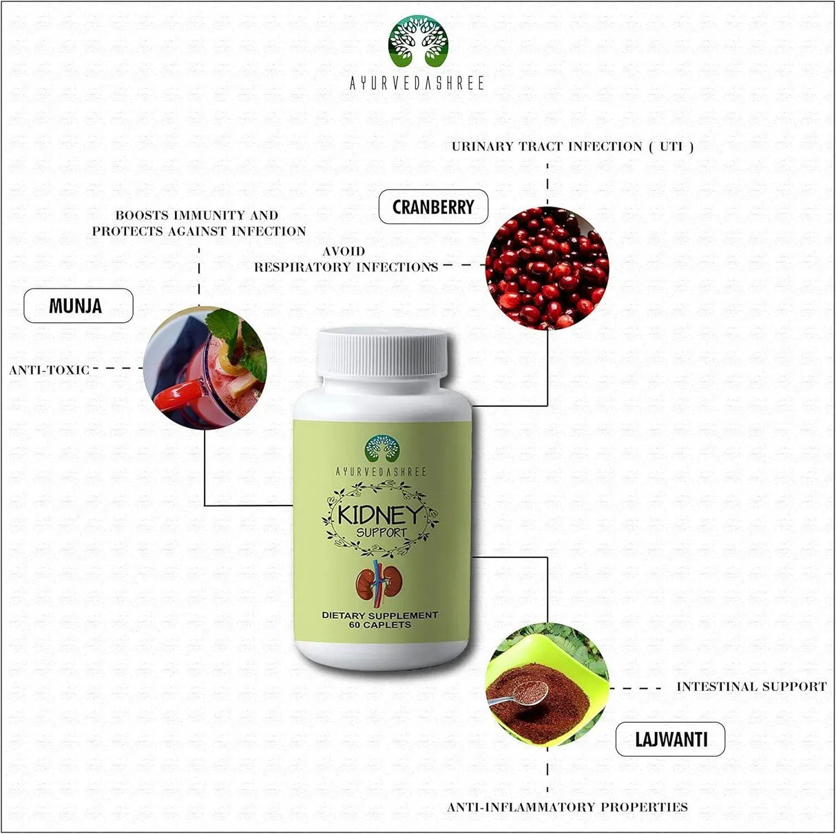 AYURVEDASHREE - AYURVEDASHREE Kidney Support Herbal Supplement 60 Tabletas - The Red Vitamin MX - Suplementos Alimenticios - {{ shop.shopifyCountryName }}