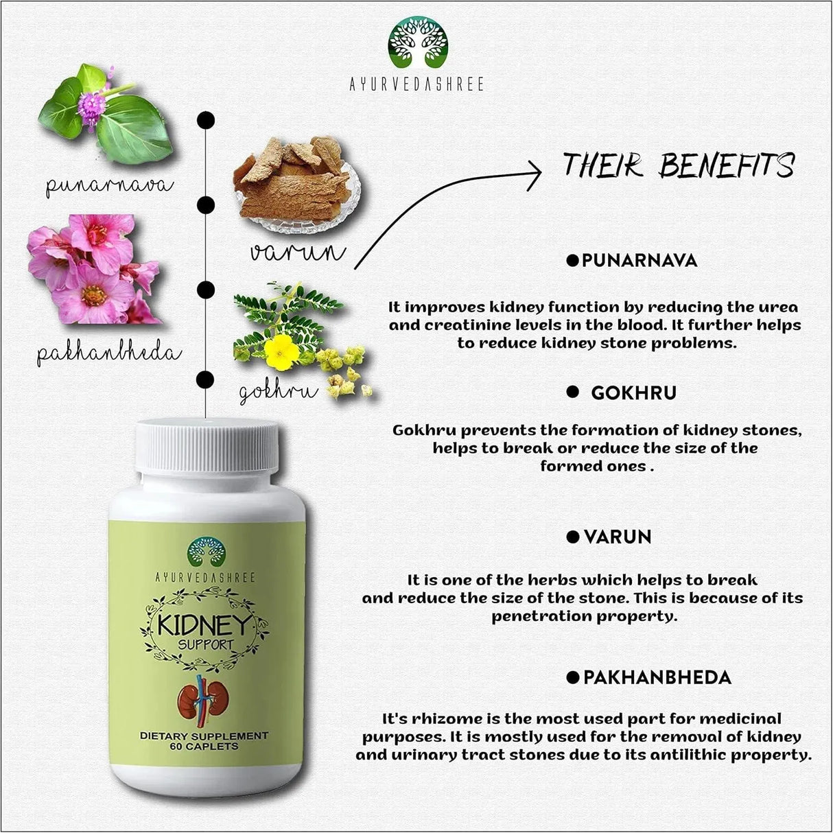 AYURVEDASHREE - AYURVEDASHREE Kidney Support Herbal Supplement 60 Tabletas - The Red Vitamin MX - Suplementos Alimenticios - {{ shop.shopifyCountryName }}