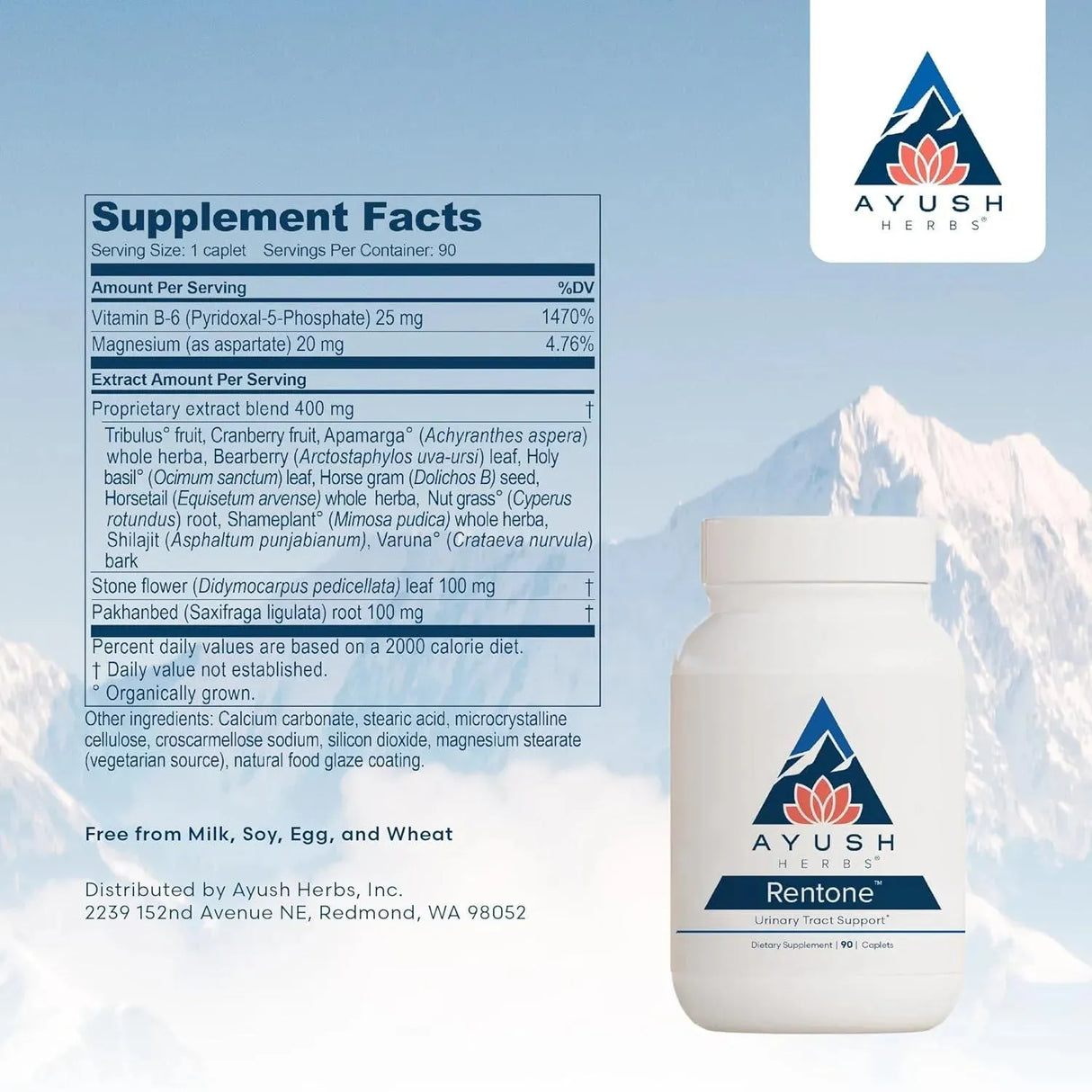 AYUSH - Ayush Herbs Rentone Ayurvedic Urinary Tract and Kidney-Support 90 Tabletas - The Red Vitamin MX - Suplementos Alimenticios - {{ shop.shopifyCountryName }}