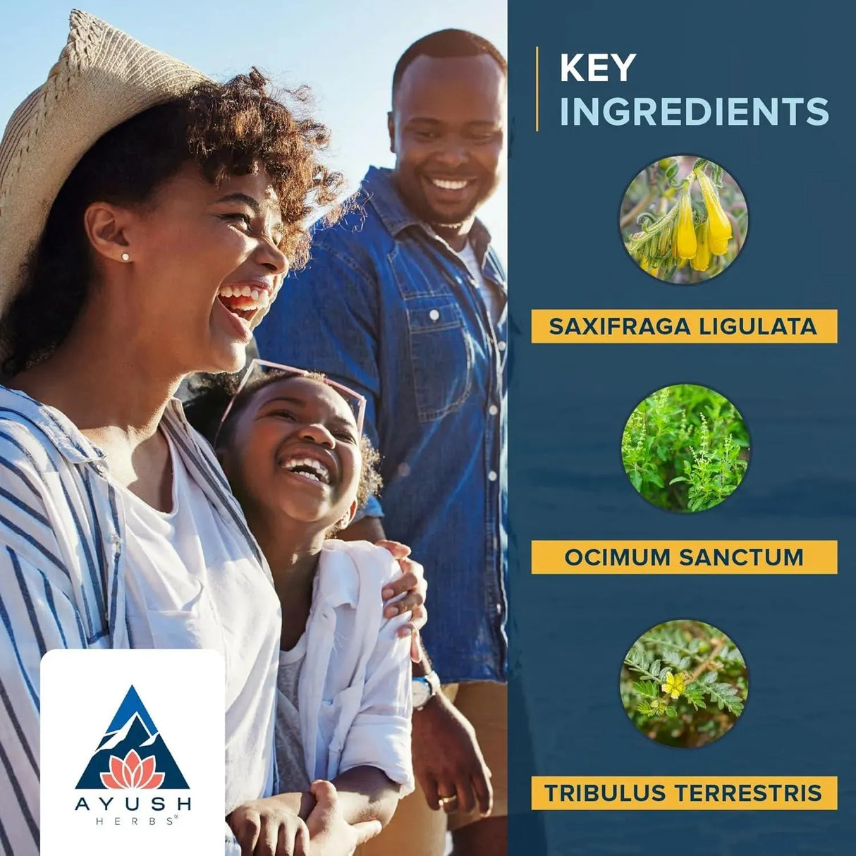 AYUSH - Ayush Herbs Rentone Ayurvedic Urinary Tract and Kidney-Support 90 Tabletas - The Red Vitamin MX - Suplementos Alimenticios - {{ shop.shopifyCountryName }}