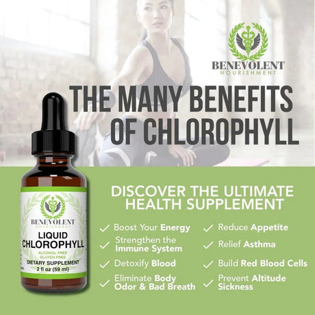 BENEVOLENT NOURISHMENT - Benevolent Chlorophyll Liquid Drops 59Ml. - The Red Vitamin MX - Suplementos Alimenticios - {{ shop.shopifyCountryName }}